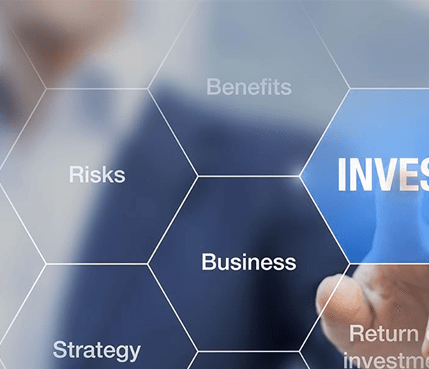 Investment and Takeover projects